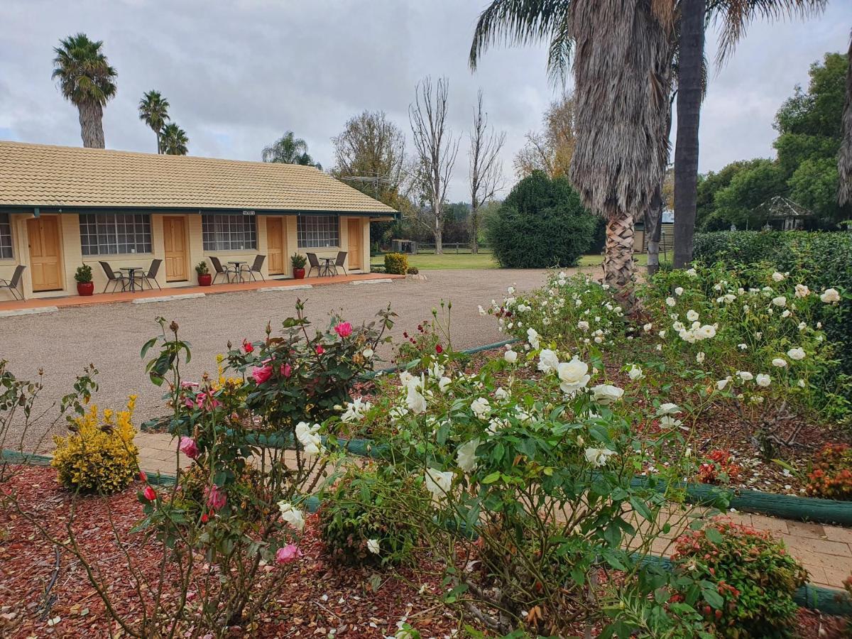 The Aston Motel Tamworth Eksteriør bilde
