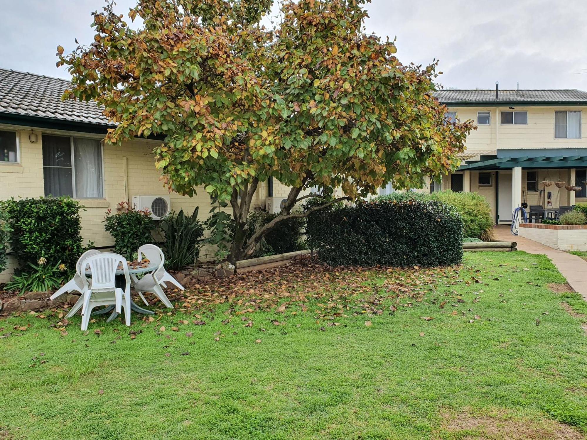 The Aston Motel Tamworth Rom bilde
